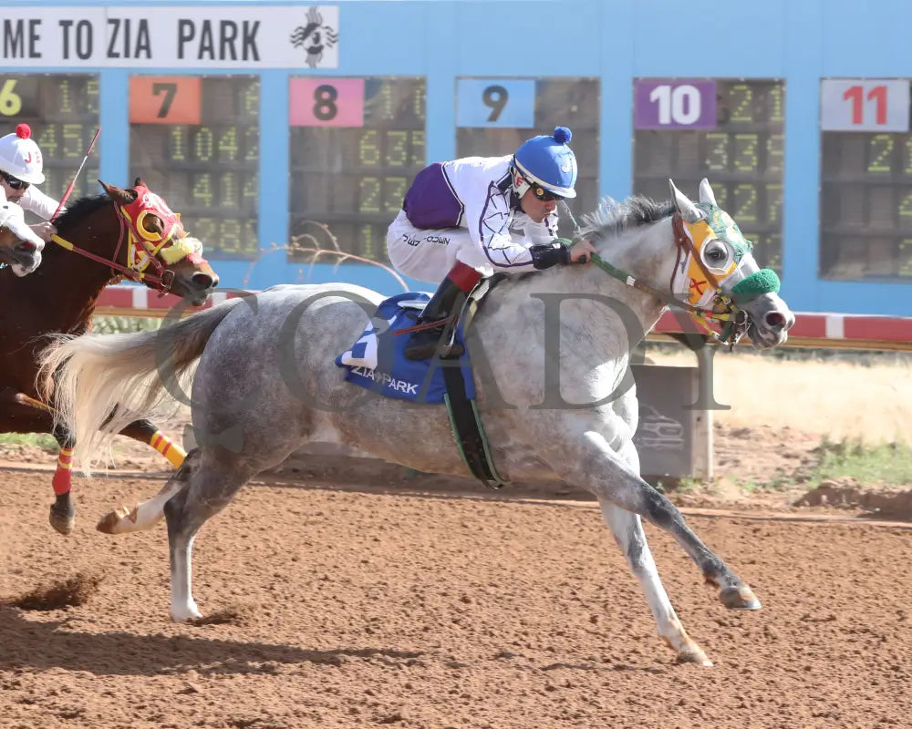 Maka Roon - New Mexico Classic Distaff Stakes 12-15-24 R02 Zia Park Finish
