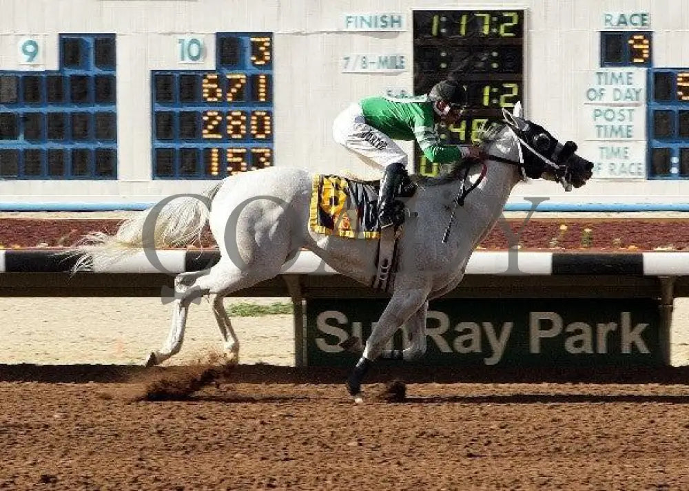 Make A Move - Percy Joe Memorial Sunray Park