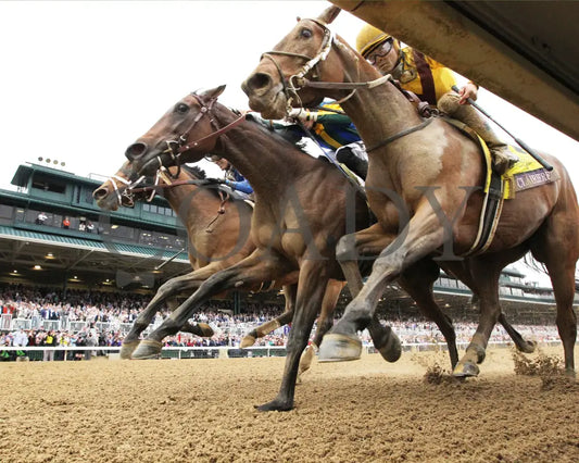 Malathaat - Longines Breeders’ Cup Distaff G1 39Th Running 11-05-22 R09 Kee Under Rail 01 Keeneland