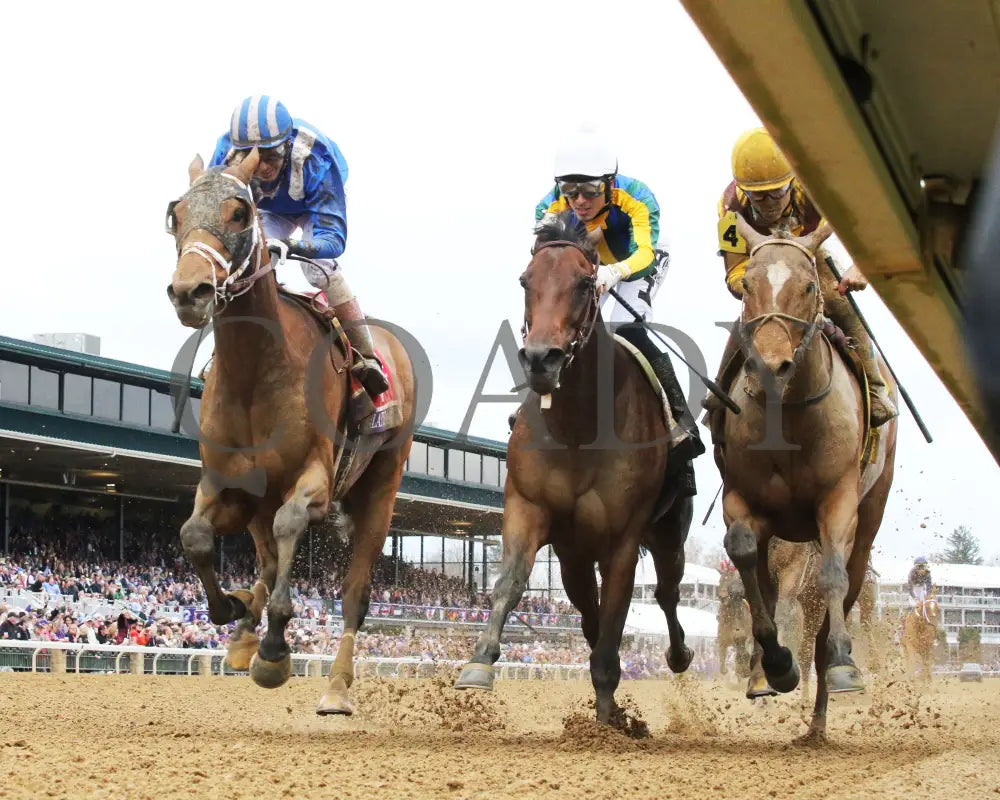 Malathaat - Longines Breeders’ Cup Distaff G1 39Th Running 11-05-22 R09 Kee Under Rail 02 Keeneland