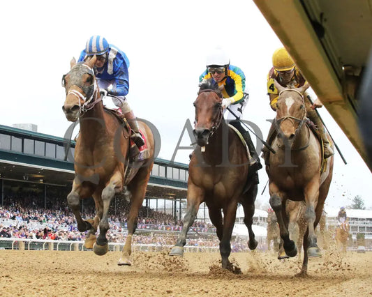 Malathaat - Longines Breeders’ Cup Distaff G1 39Th Running 11-05-22 R09 Kee Under Rail 02 Keeneland