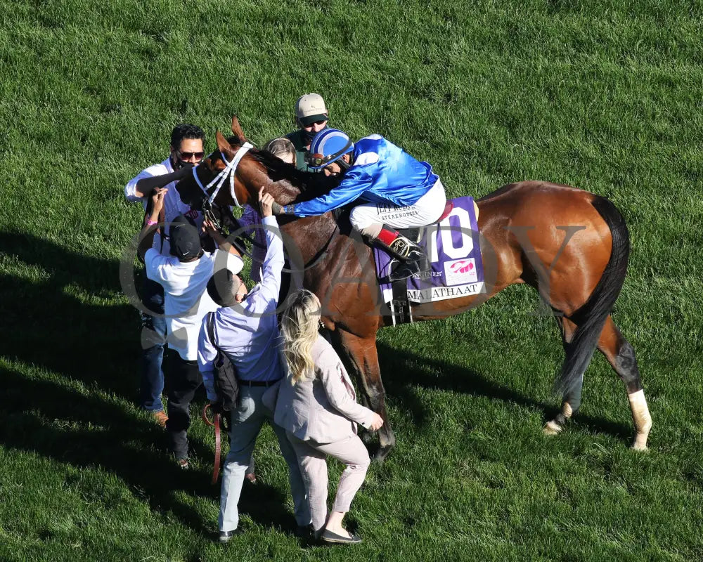 Malathaat - The Kentucky Oaks G1 147Th Running 04-30-21 R11 Cd Aerial Celebration 02 Derby