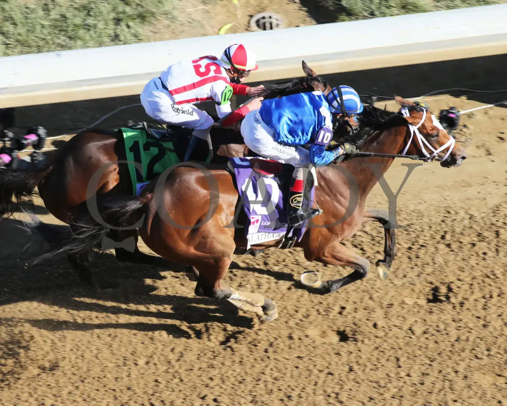Malathaat - The Kentucky Oaks G1 147Th Running 04-30-21 R11 Cd Aerial Finish 02 Derby
