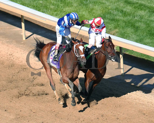 Malathaat - The Kentucky Oaks G1 147Th Running 04-30-21 R11 Cd Celebration 01 Derby