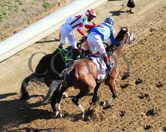 Malathaat - The Kentucky Oaks G1 147Th Running 04-30-21 R11 Cd Celebration 02 Derby