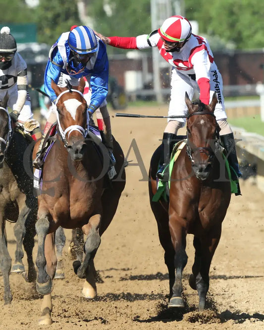 Malathaat - The Kentucky Oaks G1 147Th Running 04-30-21 R11 Cd Celebration 03 Derby