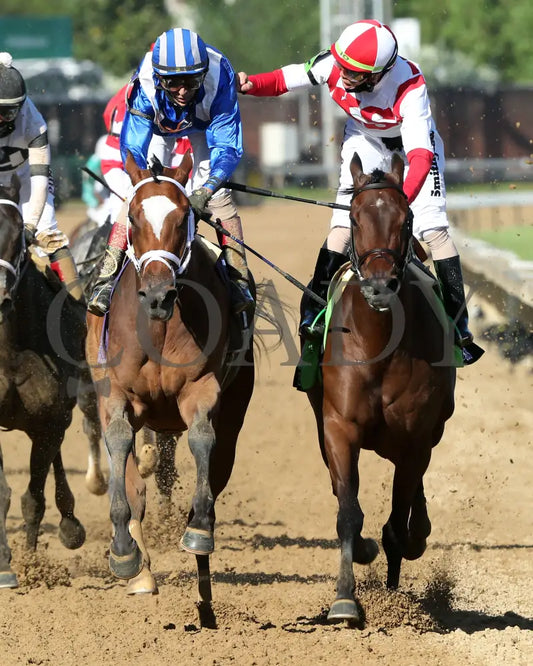 Malathaat - The Kentucky Oaks G1 147Th Running 04-30-21 R11 Cd Celebration 05 Derby