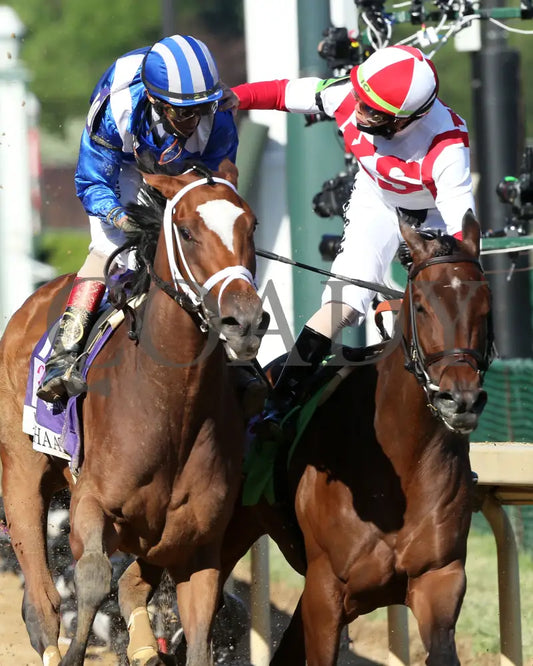 Malathaat - The Kentucky Oaks G1 147Th Running 04-30-21 R11 Cd Celebration 04 Derby