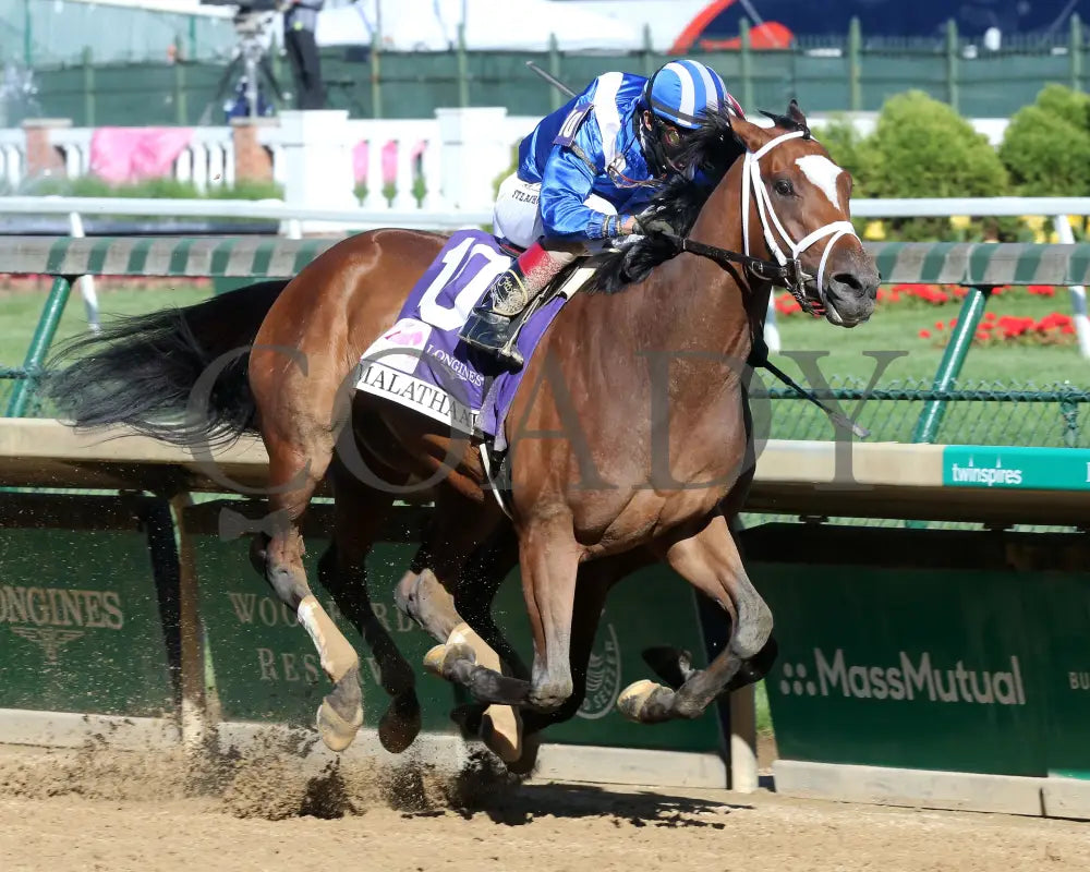 Malathaat - The Kentucky Oaks G1 147Th Running 04-30-21 R11 Cd Finish 02 Derby