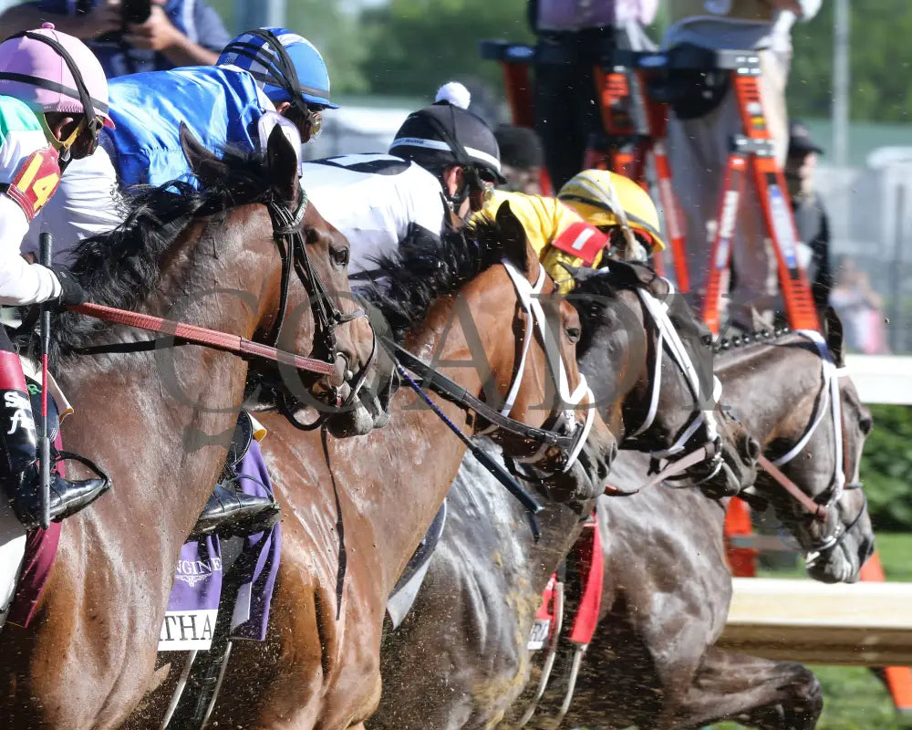 Malathaat - The Kentucky Oaks G1 147Th Running 04-30-21 R11 Cd First Pass 02 Derby