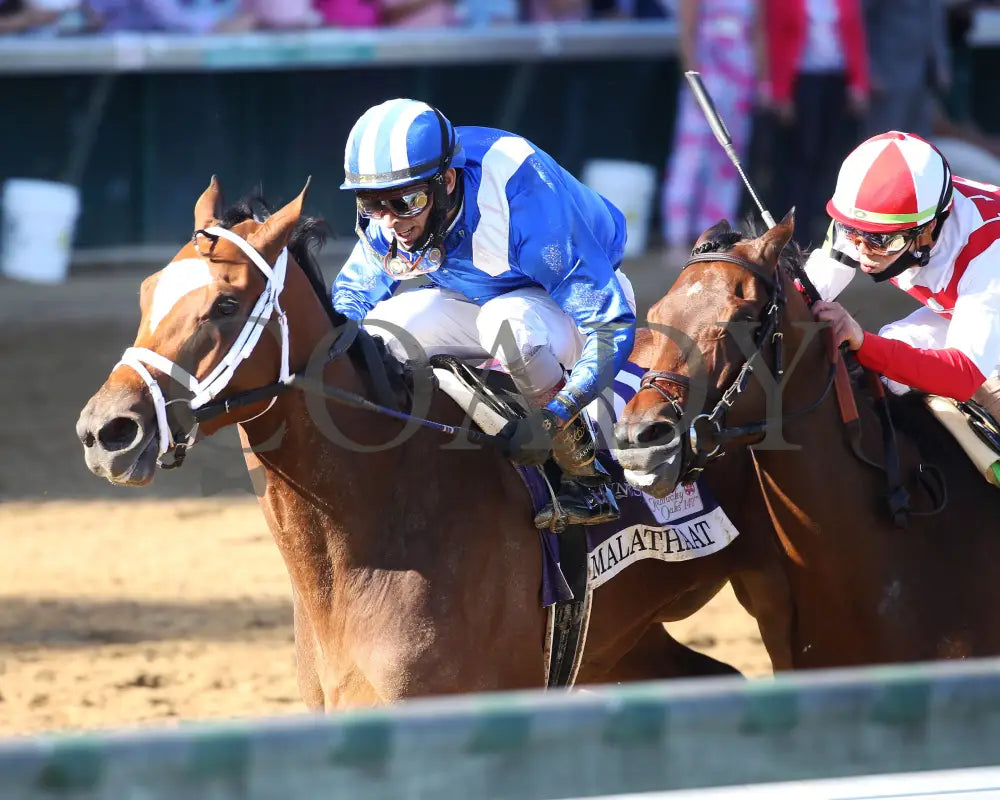 Malathaat - The Kentucky Oaks G1 147Th Running 04-30-21 R11 Cd Inside Finish 01 Derby