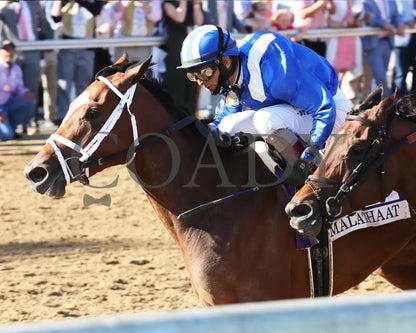 Malathaat - The Kentucky Oaks G1 147Th Running 04-30-21 R11 Cd Inside Finish 04 Derby