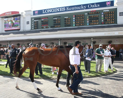 Malathaat - The Kentucky Oaks G1 147Th Running 04-30-21 R11 Cd Paddock 01 Derby