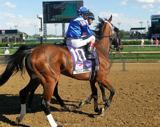 Malathaat - The Kentucky Oaks G1 147Th Running 04-30-21 R11 Cd Post Parade 03 Derby