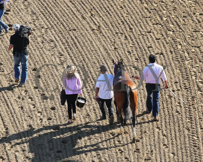 Malathaat - The Kentucky Oaks G1 147Th Running 04-30-21 R11 Cd Post Race Walk Back 01 Derby