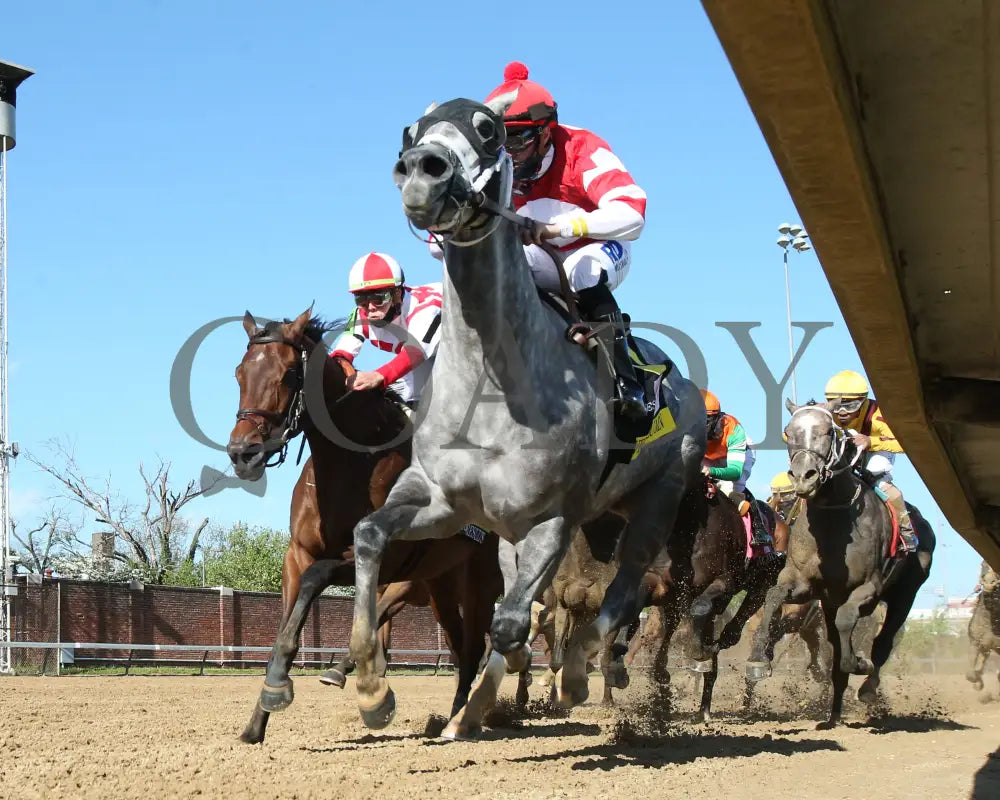 Malathaat - The Kentucky Oaks G1 147Th Running 04-30-21 R11 Cd Under Rail First Turn 01 Derby