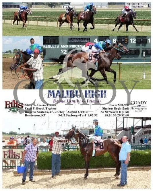 Malibu High - 080214 Race 04 Elp Ellis Park