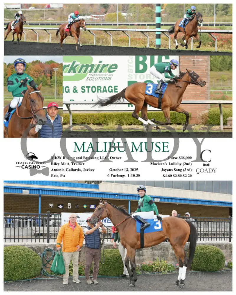 MALIBU MUSE - 10-13-25 - R03 - PID Presque Isle Downs