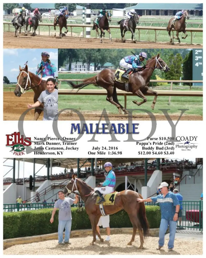 Malleable - 072416 Race 04 Elp Ellis Park