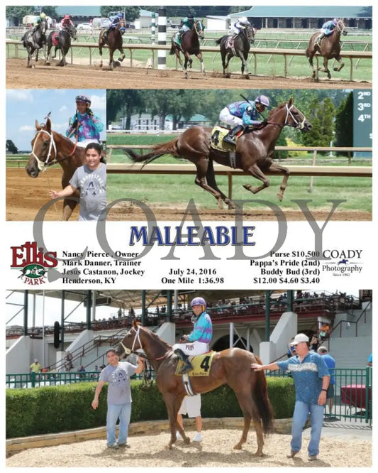 Malleable - 072416 Race 04 Elp Ellis Park