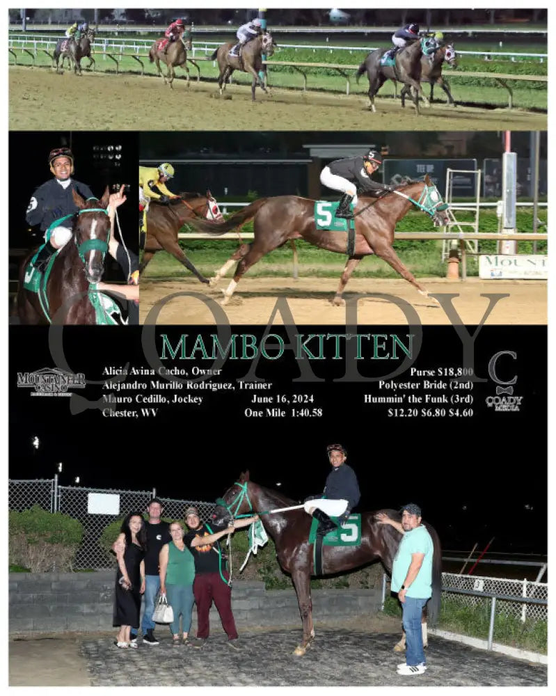 Mambo Kitten - 06-16-24 R07 Mnr Mountaineer Park