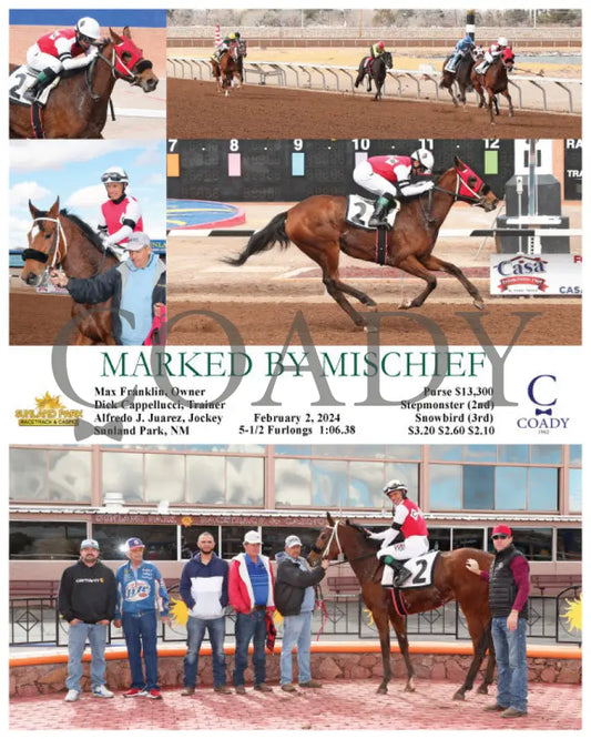 Marked By Mischief - 02-02-24 R02 Sun Sunland Park
