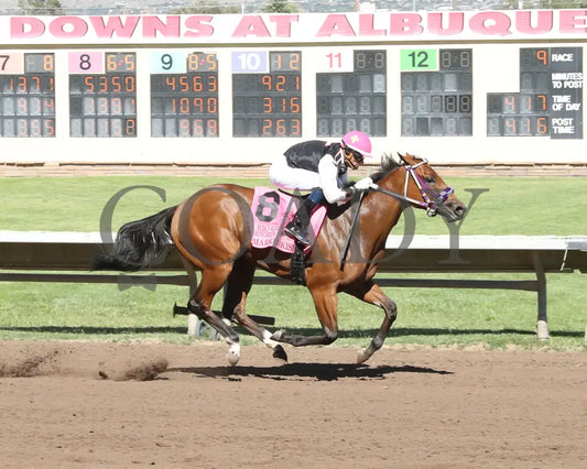Marked Kiss - Rio Grande Senorita Thoroughbred Futurity 08-18-24 R09 The Downs At Albuquerque Finish