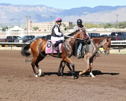 Marked Kiss - Rio Grande Senorita Thoroughbred Futurity 08-18-24 R09 The Downs At Albuquerque Post
