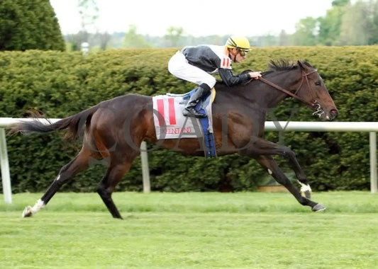 Marketing Mix - 041112 Race 07 Fin Keeneland