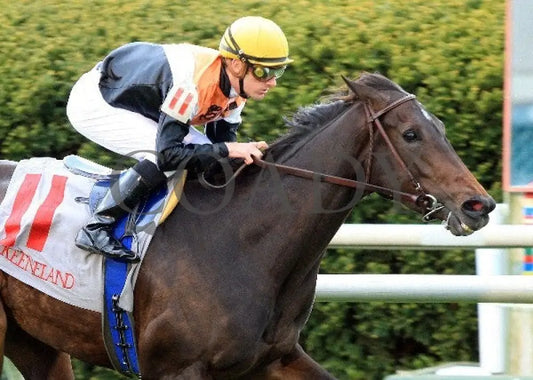 Marketing Mix - 041112 Race 07 Tight Fin Keeneland