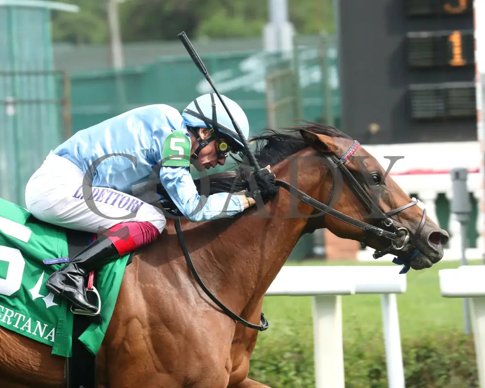 MARKSMAN QUEEN - The Keertana - 12th Running - 05-24-25 - R09 - CD - Tight Finish 01 Churchill Downs