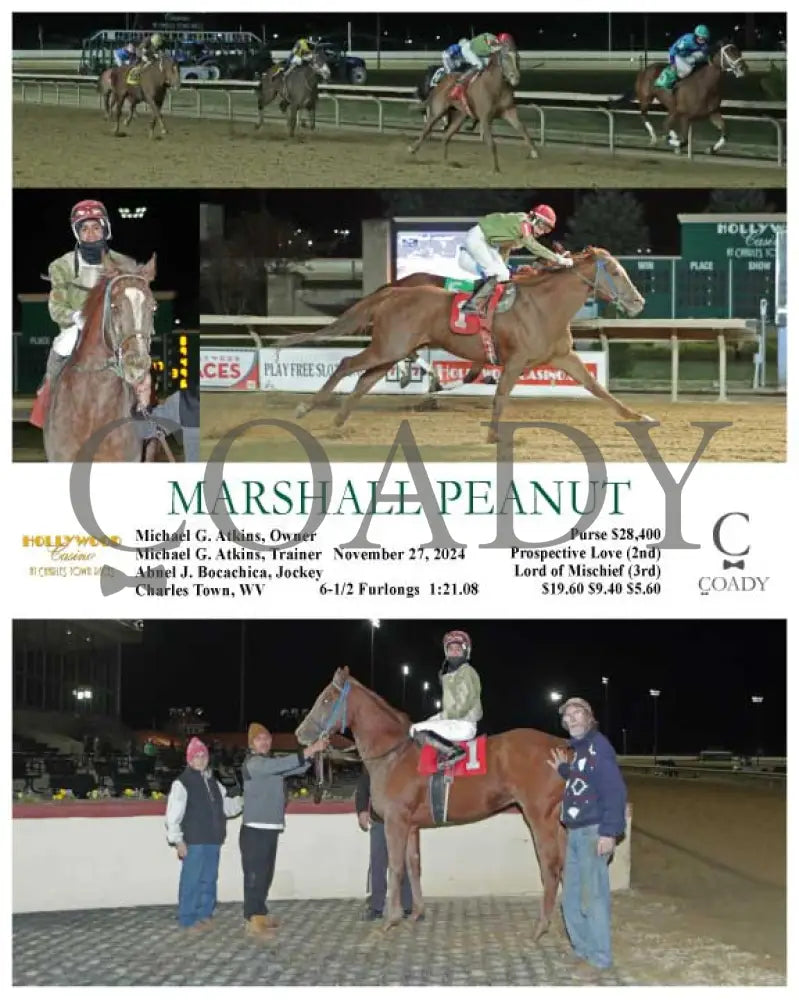 Marshall Peanut - 11-27-24 R07 Ct Hollywood Casino At Charles Town Races