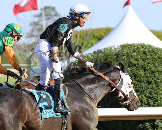 Masqueparade - The Temperence Hill Stakes 5Th Running 03 - 29 - 24 R09 Op Celebration 01 Oaklawn