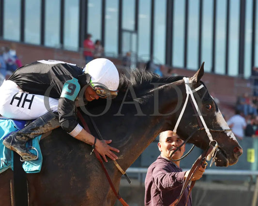 Masqueparade - The Temperence Hill Stakes 5Th Running 03 - 29 - 24 R09 Op Come Back 02 Oaklawn Park