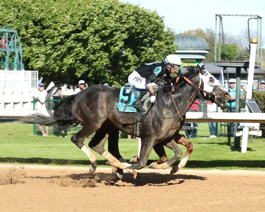 Masqueparade - The Temperence Hill Stakes 5Th Running 03 - 29 - 24 R09 Op Finish 01 Oaklawn Park