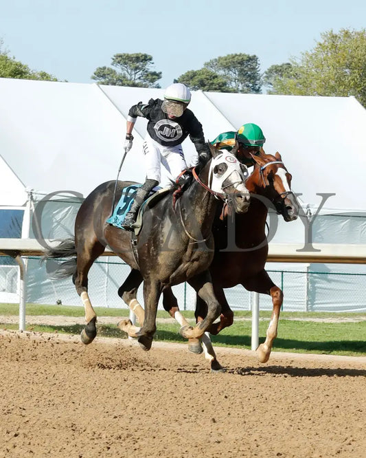 Masqueparade - The Temperence Hill Stakes 5Th Running 03 - 29 - 24 R09 Op Finish 04 Oaklawn Park