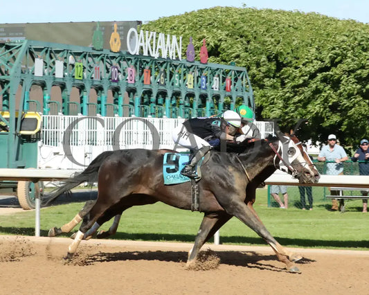 Masqueparade - The Temperence Hill Stakes 5Th Running 03 - 29 - 24 R09 Op Finish 05 Oaklawn Park