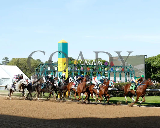Masqueparade - The Temperence Hill Stakes 5Th Running 03 - 29 - 24 R09 Op First Pass 01 Oaklawn Park
