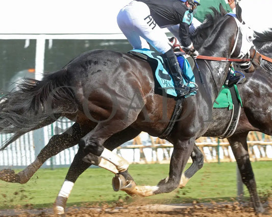 Masqueparade - The Temperence Hill Stakes 5Th Running 03 - 29 - 24 R09 Op First Pass 02 Oaklawn Park
