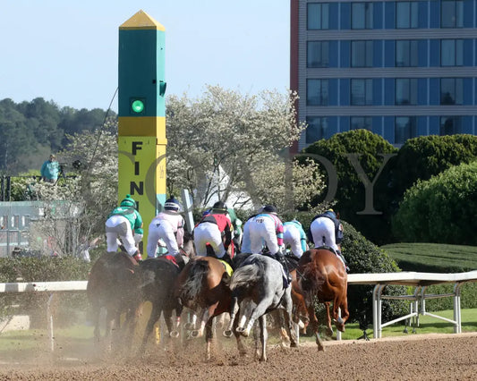Masqueparade - The Temperence Hill Stakes 5Th Running 03 - 29 - 24 R09 Op First Pass 03 Oaklawn Park