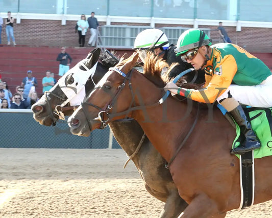 Masqueparade - The Temperence Hill Stakes 5Th Running 03 - 29 - 24 R09 Op Inside Finish 01 Oaklawn