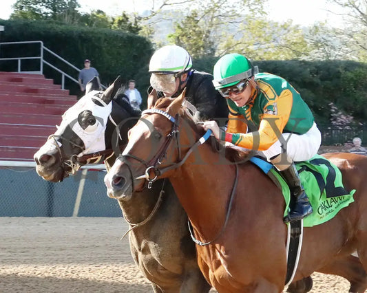 Masqueparade - The Temperence Hill Stakes 5Th Running 03 - 29 - 24 R09 Op Inside Finish 02 Oaklawn