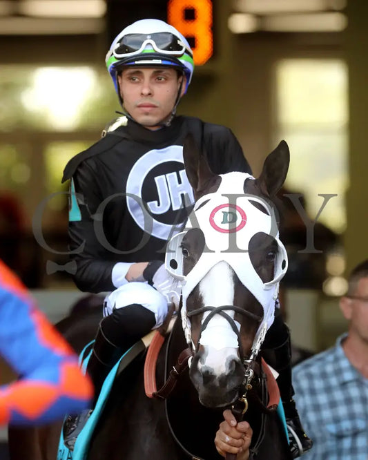 Masqueparade - The Temperence Hill Stakes 5Th Running 03 - 29 - 24 R09 Op Paddock 02 Oaklawn Park