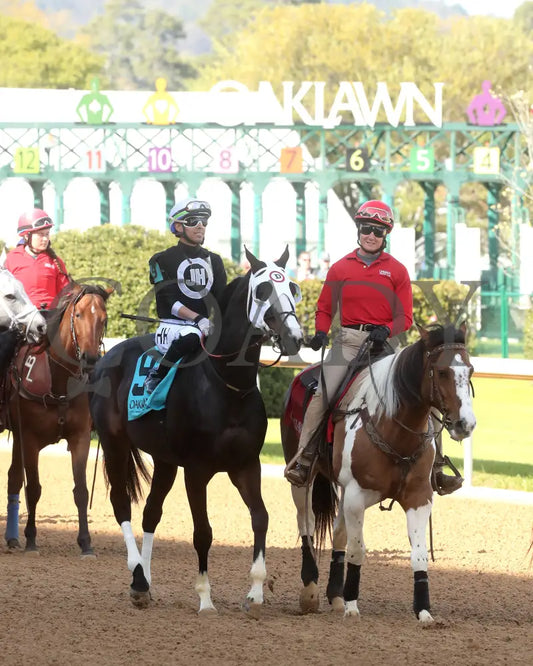 Masqueparade - The Temperence Hill Stakes 5Th Running 03 - 29 - 24 R09 Op Post Parade 02 Oaklawn
