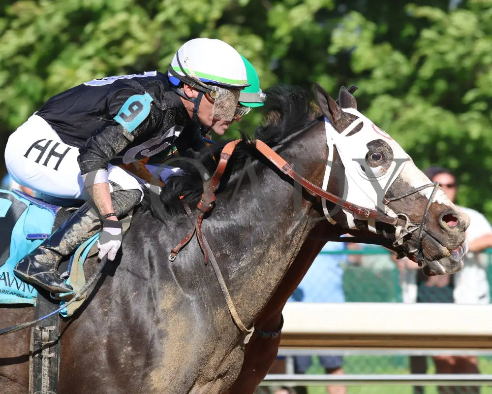 Masqueparade - The Temperence Hill Stakes 5Th Running 03 - 29 - 24 R09 Op Tight Finish 01 Oaklawn
