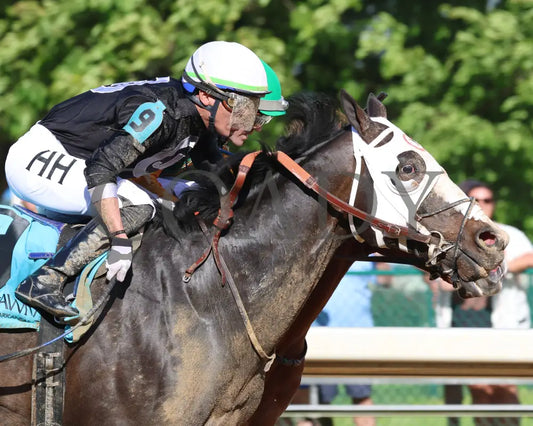 Masqueparade - The Temperence Hill Stakes 5Th Running 03 - 29 - 24 R09 Op Tight Finish 01 Oaklawn