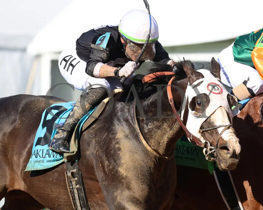 Masqueparade - The Temperence Hill Stakes 5Th Running 03 - 29 - 24 R09 Op Tight Finish 02 Oaklawn