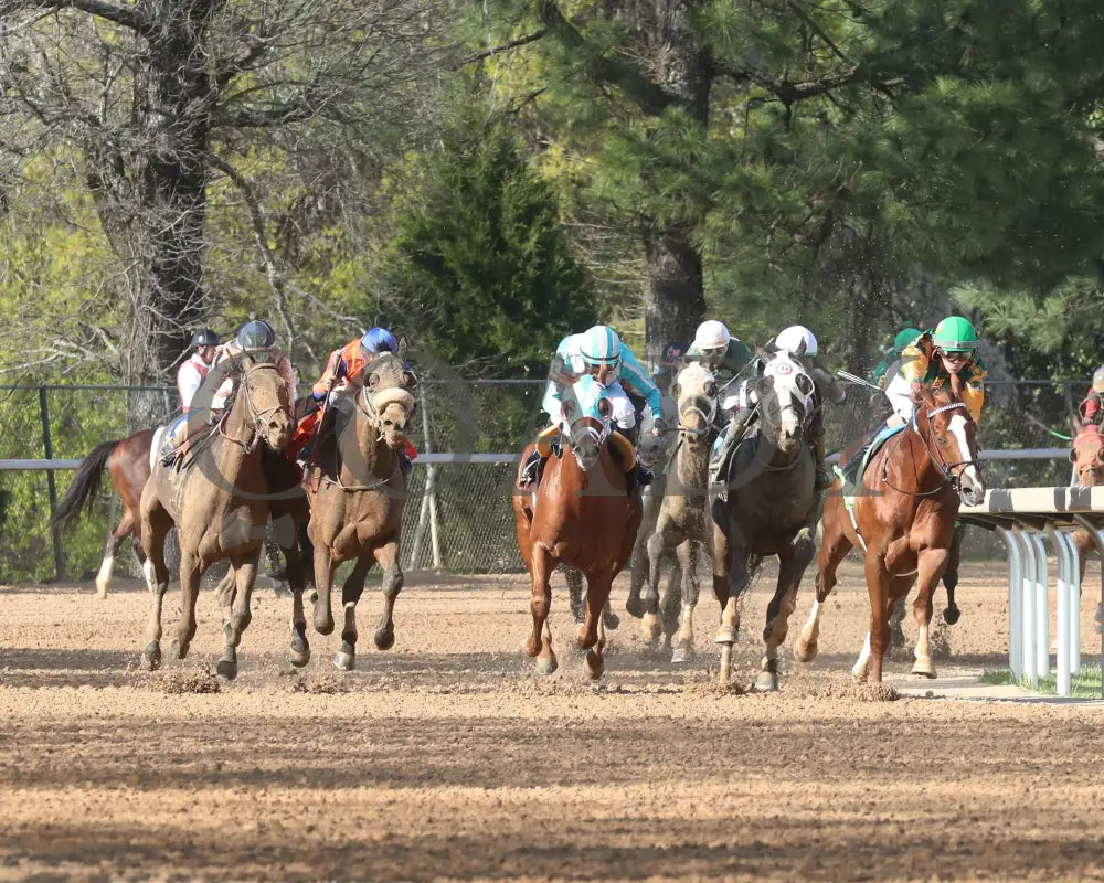 Masqueparade - The Temperence Hill Stakes 5Th Running 03 - 29 - 24 R09 Op Turn 01 Oaklawn Park