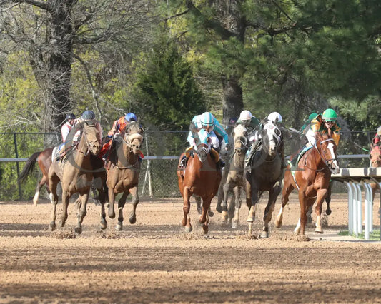 Masqueparade - The Temperence Hill Stakes 5Th Running 03 - 29 - 24 R09 Op Turn 01 Oaklawn Park