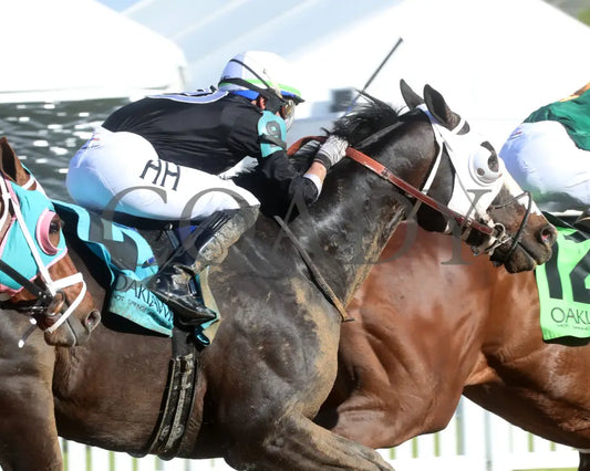 Masqueparade - The Temperence Hill Stakes 5Th Running 03 - 29 - 24 R09 Op Turn 02 Oaklawn Park